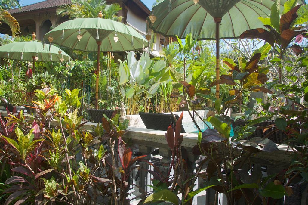 Taman Rahasia Tropical Sanctuary And Ubud